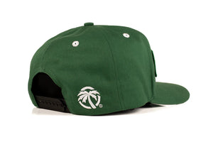 HWV HAT: Billboard Split Alpine Green